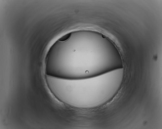 X0000102471520200808080957