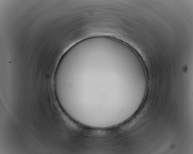 X0000102471521200808080957