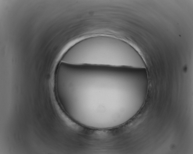 X0000102471523200808080957