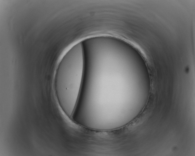 X0000102471524200808080957