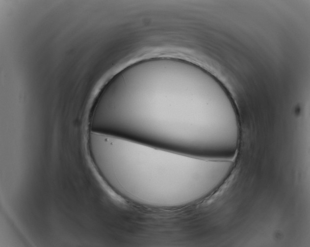 X0000102471525200808080957