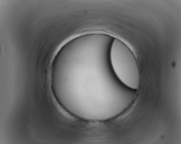 X0000102471526200808080957