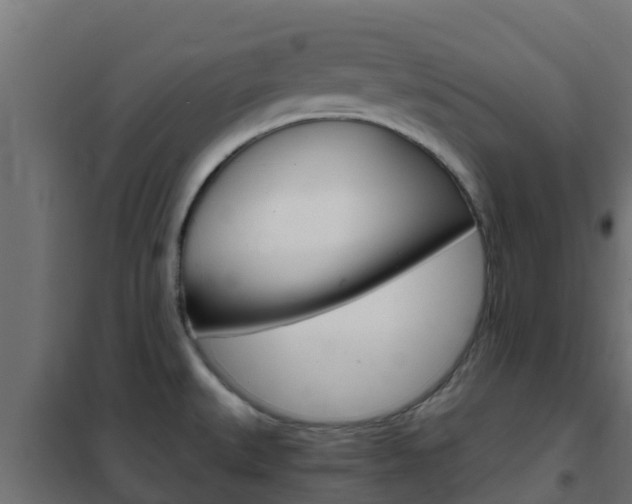 X0000102471527200808080957