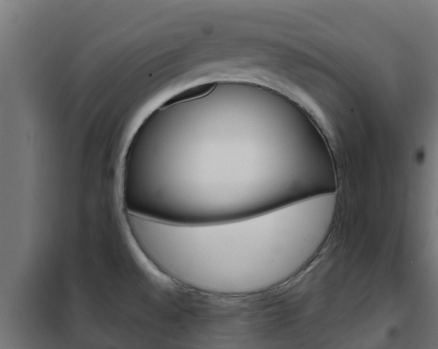 X0000102471528200808080957
