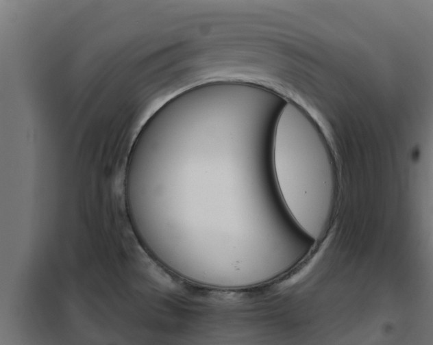 X0000102471529200808080957