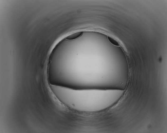 X0000102471530200808080957