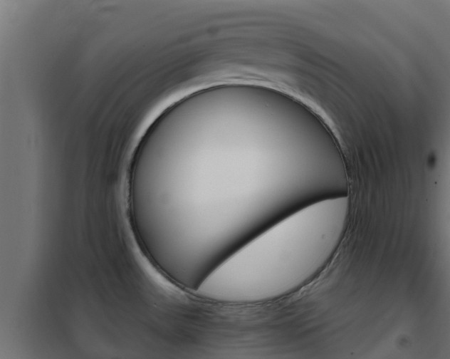 X0000102471531200808080957