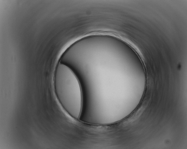 X0000102471533200808080957