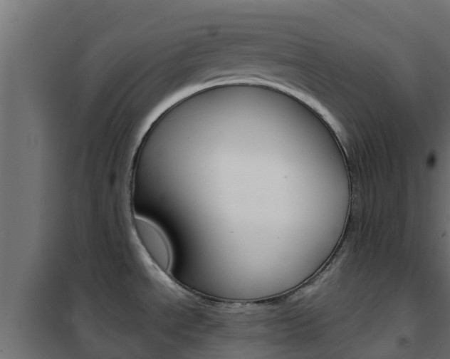 X0000102471534200808080957
