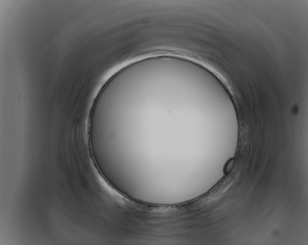 X0000102471535200808080957