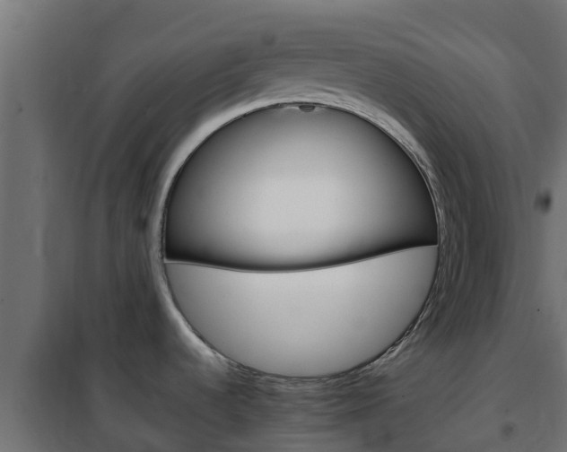 X0000102471536200808080957