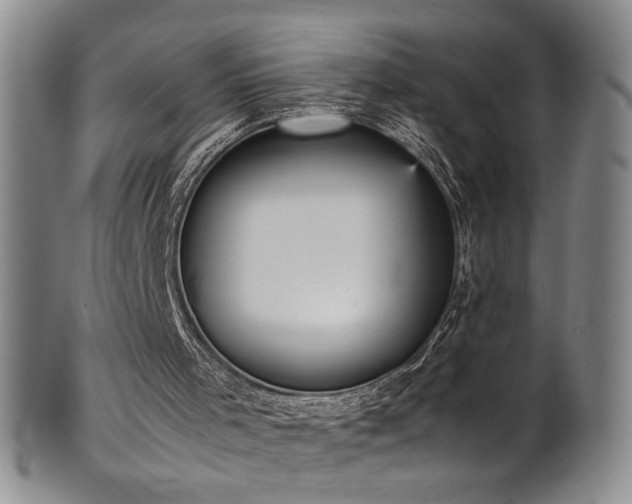 X0000102470001200808081301