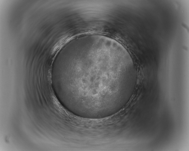 X0000102470002200808081301