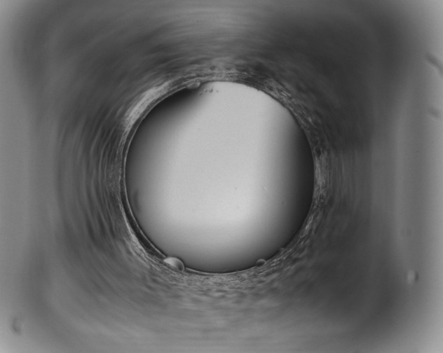 X0000102470003200808081301