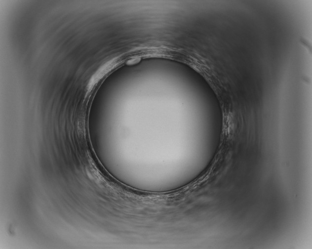 X0000102470004200808081301