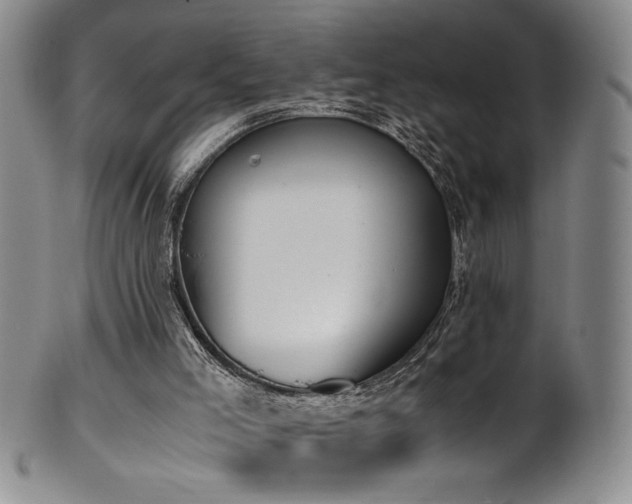 X0000102470005200808081301