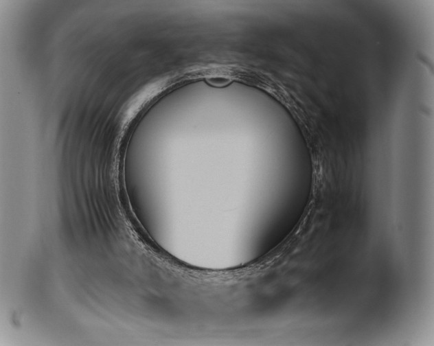 X0000102470006200808081301