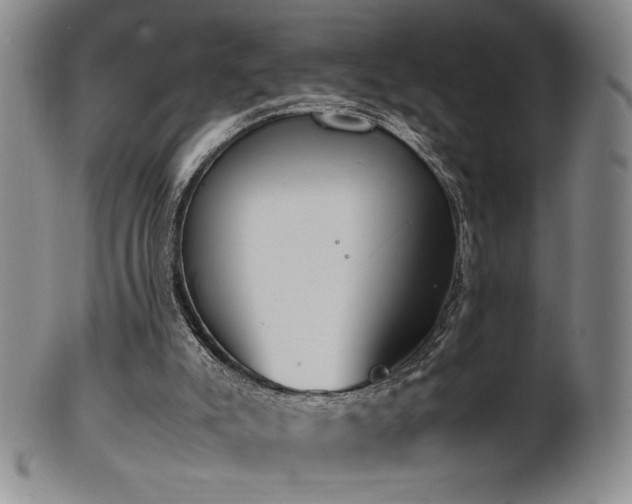X0000102470007200808081301