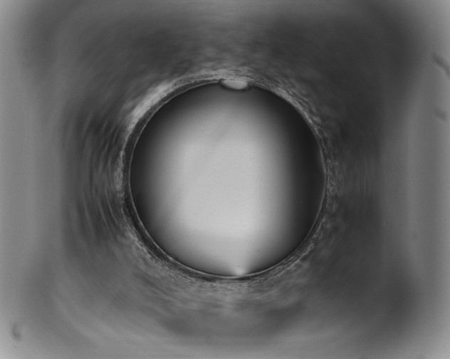 X0000102470008200808081301