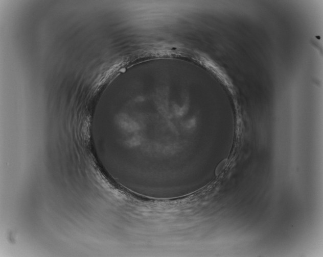 X0000102470009200808081301