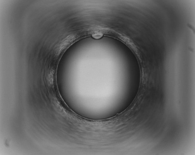 X0000102470010200808081301