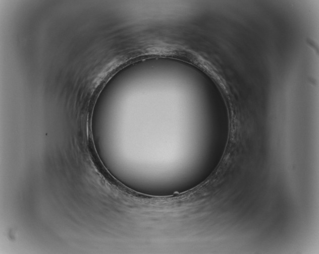 X0000102470011200808081301