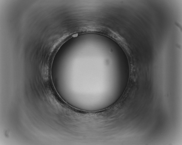 X0000102470012200808081301