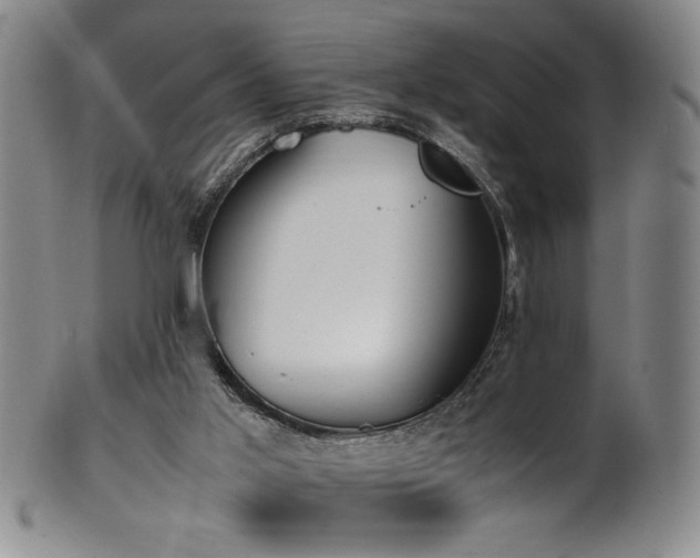 X0000102470013200808081301