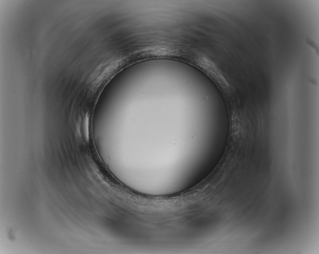 X0000102470014200808081301