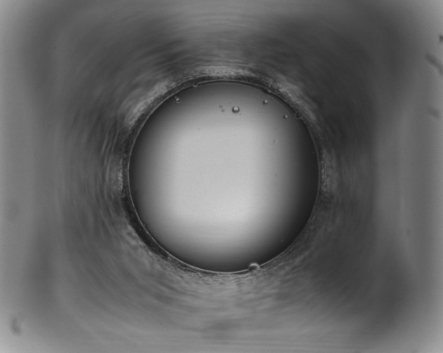 X0000102470015200808081301