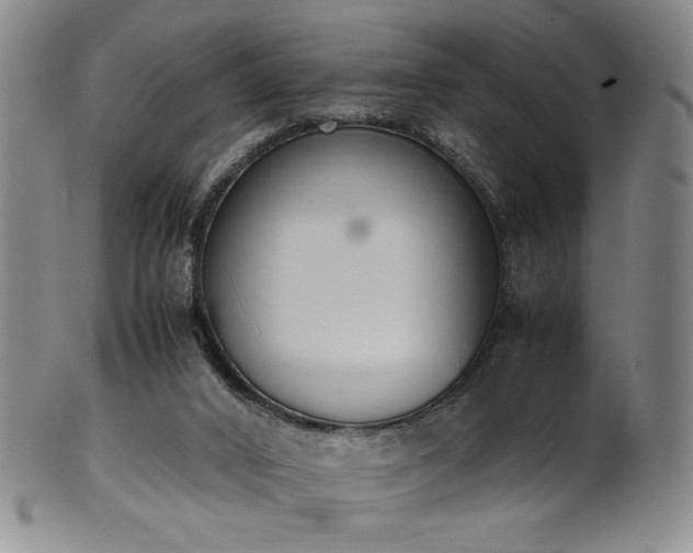 X0000102470016200808081301