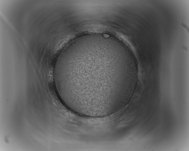 X0000102470017200808081301