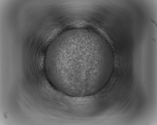 X0000102470018200808081301