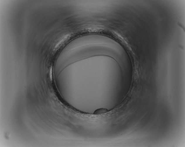 X0000102470019200808081301