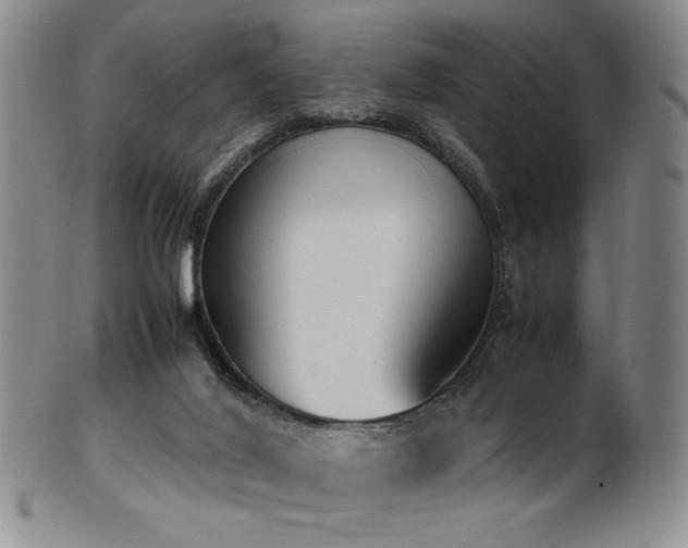 X0000102470020200808081301