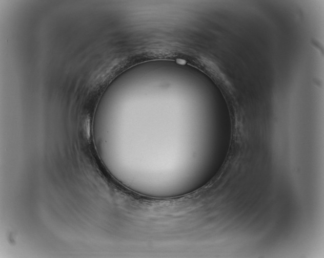 X0000102470021200808081301