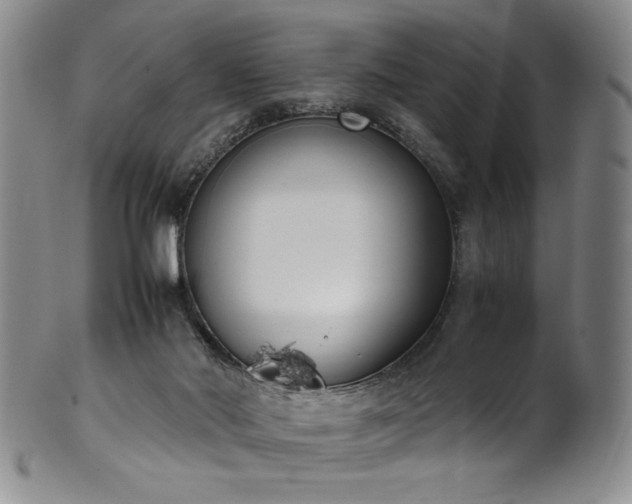 X0000102470022200808081301