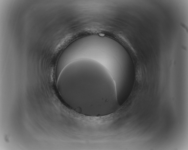 X0000102470023200808081301