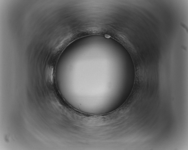 X0000102470024200808081301