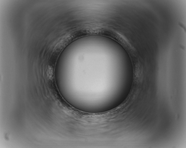 X0000102470025200808081301