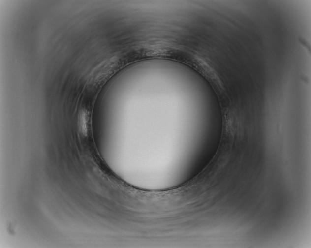 X0000102470026200808081301