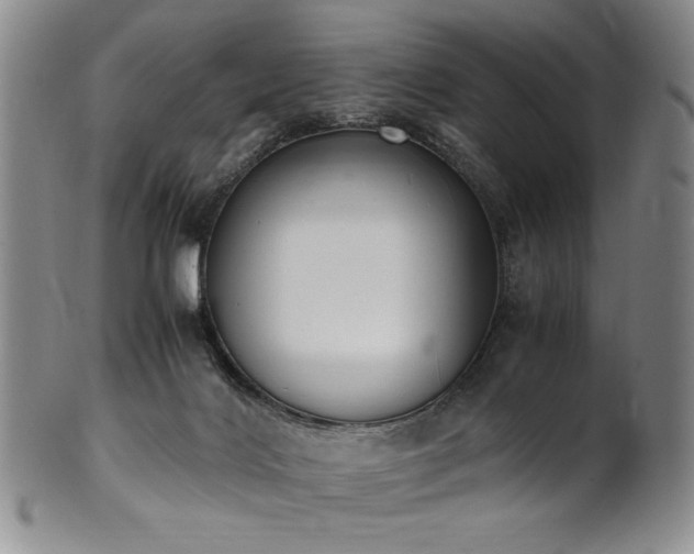 X0000102470028200808081301