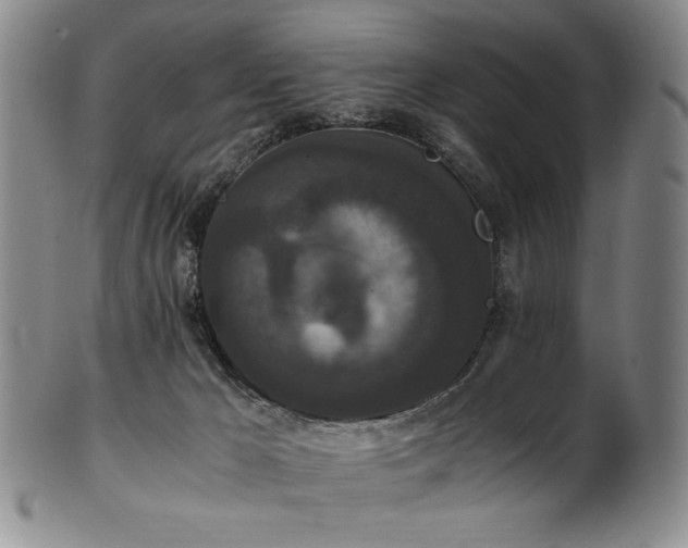 X0000102470029200808081300