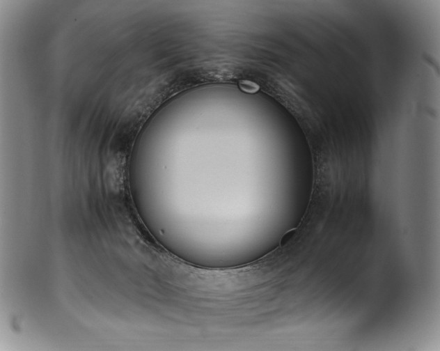 X0000102470030200808081300