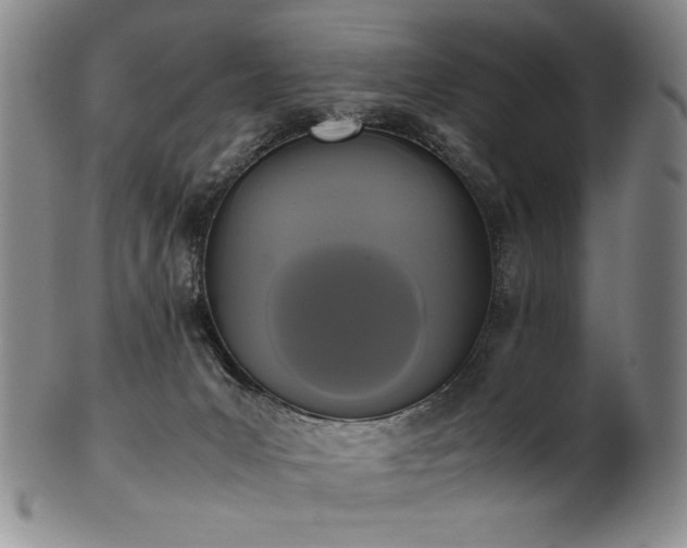 X0000102470031200808081300