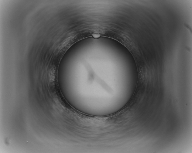 X0000102470032200808081300