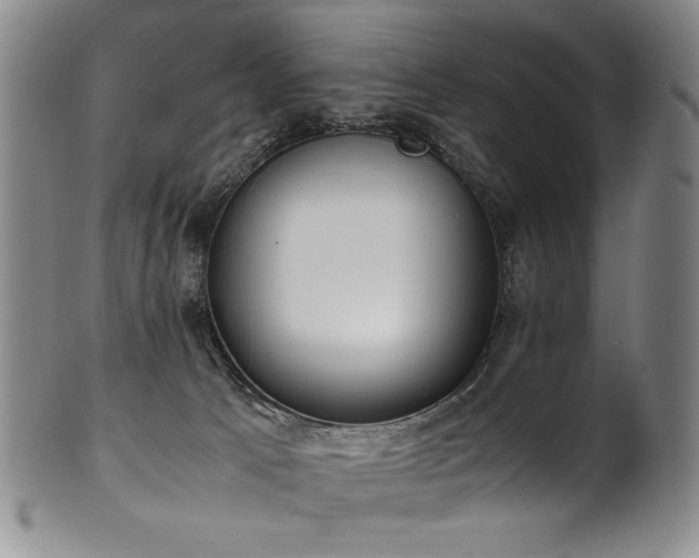 X0000102470033200808081300