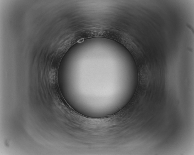 X0000102470034200808081300