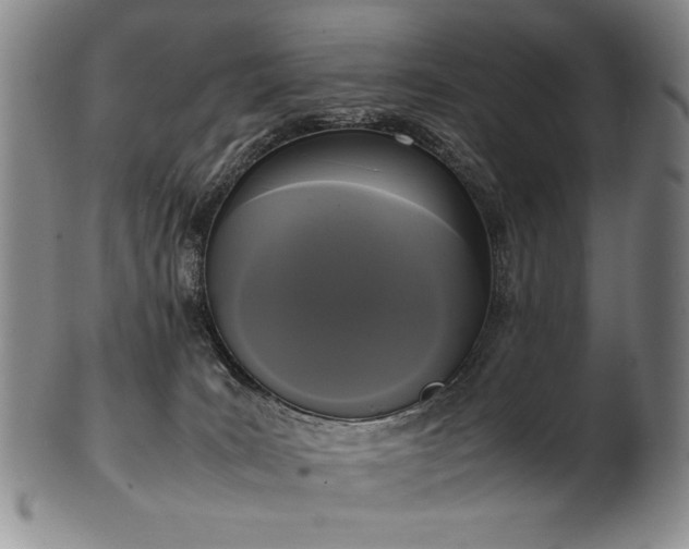 X0000102470035200808081300