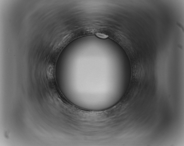 X0000102470036200808081300